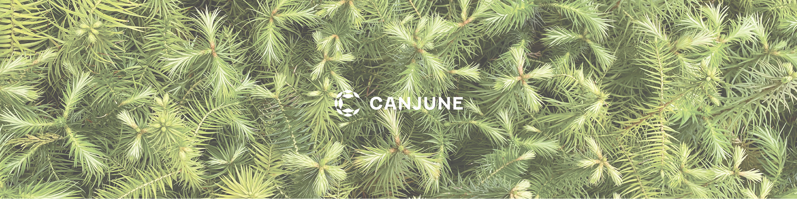 企業芳香課程介紹